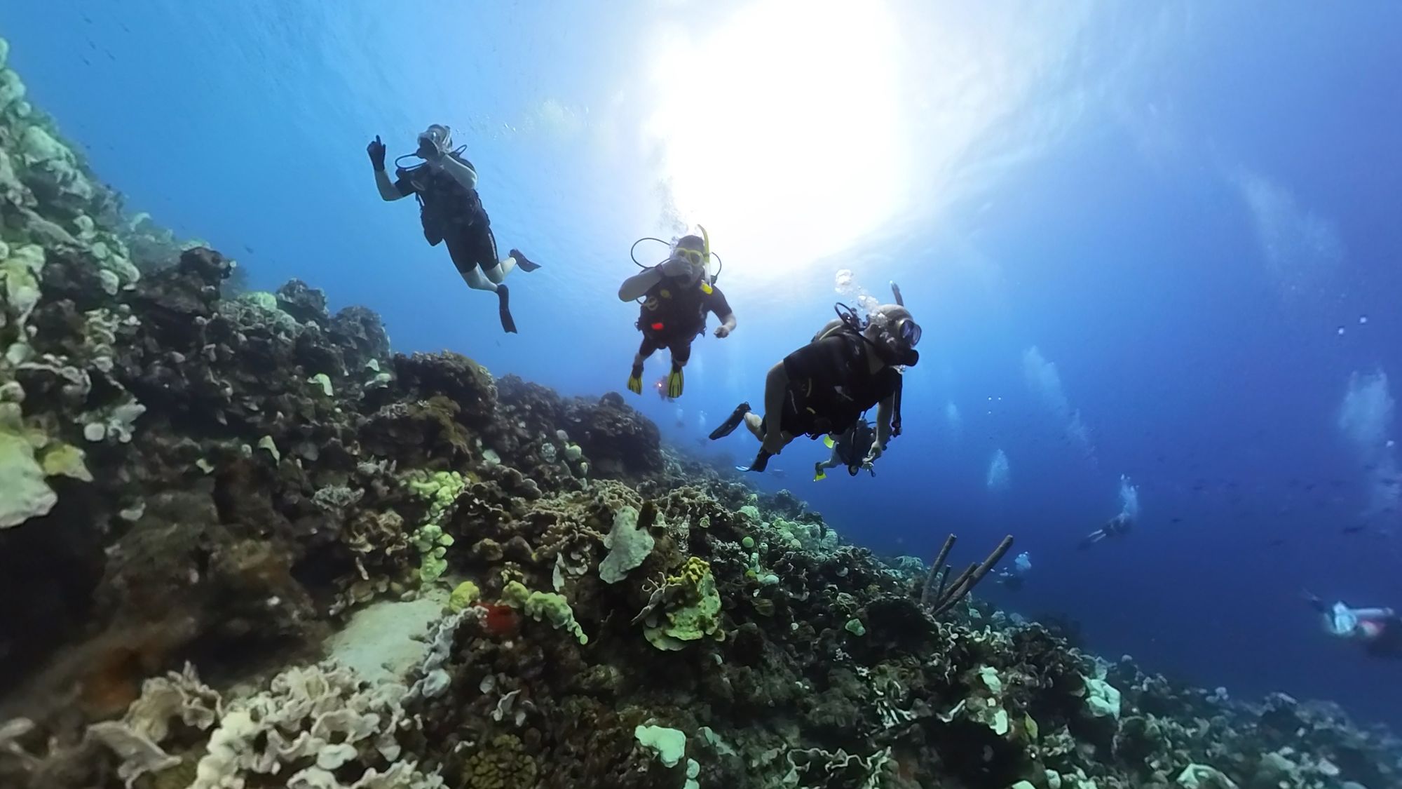 Scuba Diving in Curacao 2023
